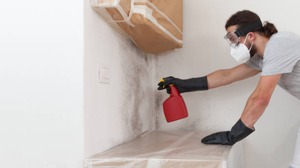 Professional Mold Removal technician working in Glenview, IL